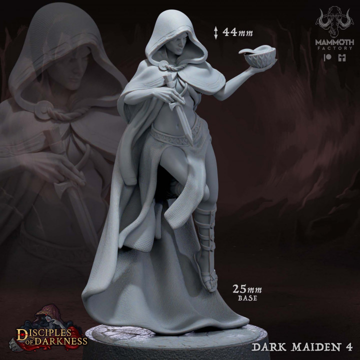 Dark Maidens Warband image