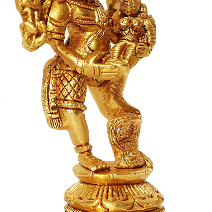 Varaha Carrying Budevi image
