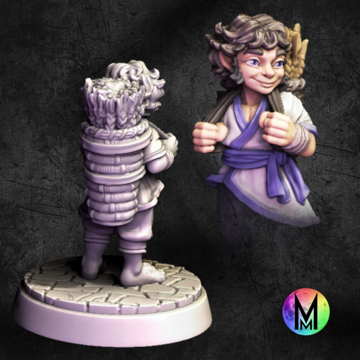 Halfling male townsfolk - Cheddar the Halfling traveler - Male Halfling