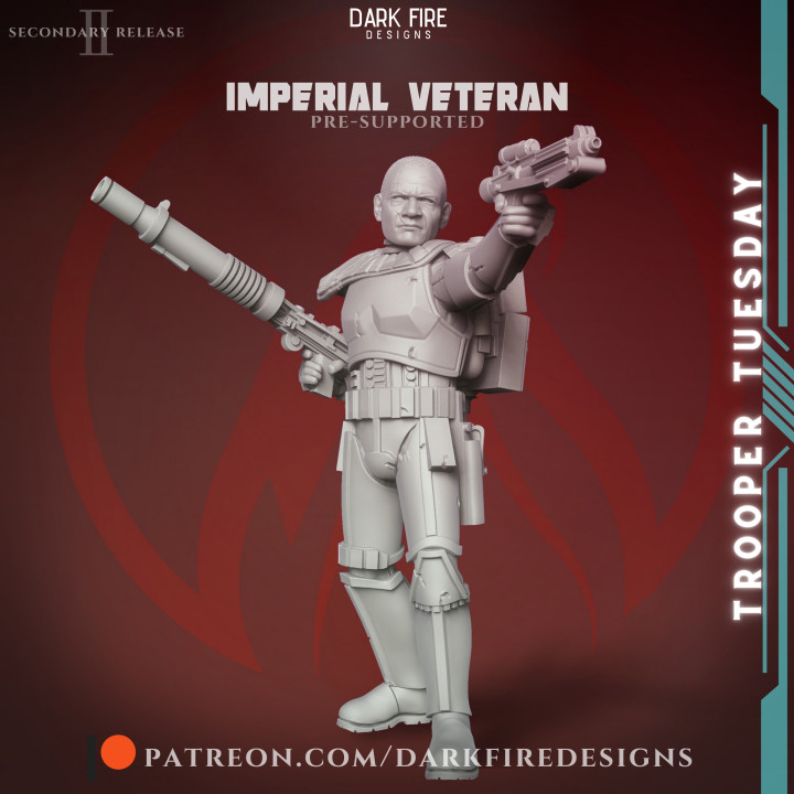 Trooper Tuesday: Imperial Veteran image