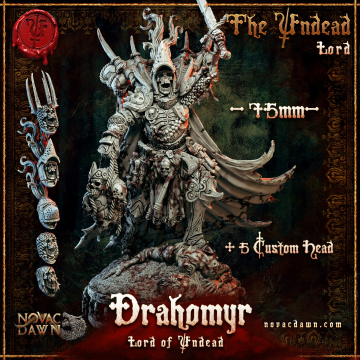 Drahomyr Lord of Undead - 75mm image