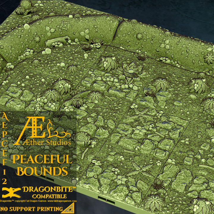 AEPCEF12 - Peaceful Bounds image
