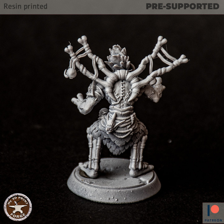 Troll Priest of Death Attack