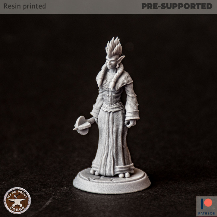 Troll Female Priest Two Models