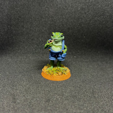 Picture of print of Sir Ribbiton - DnD Miniature Frog Gentleman