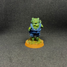 Picture of print of Sir Ribbiton - DnD Miniature Frog Gentleman