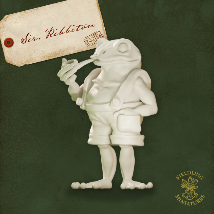 Sir Ribbiton - DnD Miniature Frog Gentleman image
