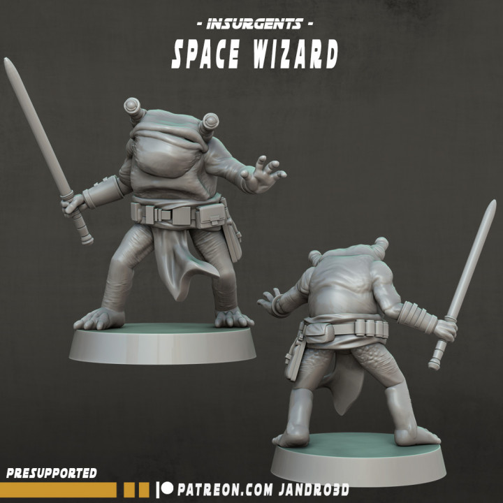 Frog - Space Wizard image