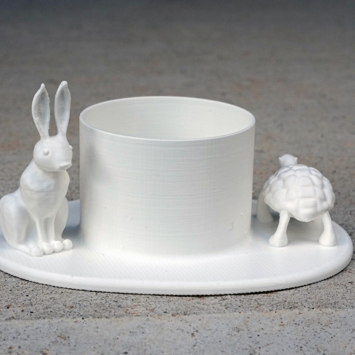 The Hare and the Tortoise image