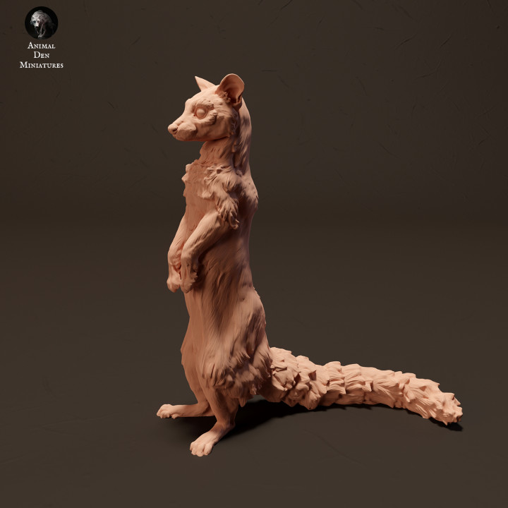 Common Genet Standing
