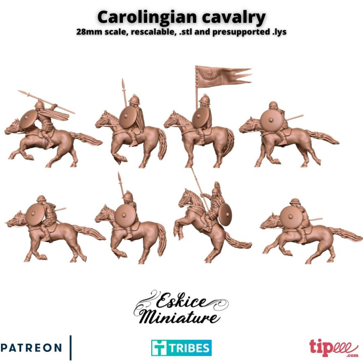 Carolingian cavalry - 28mm image