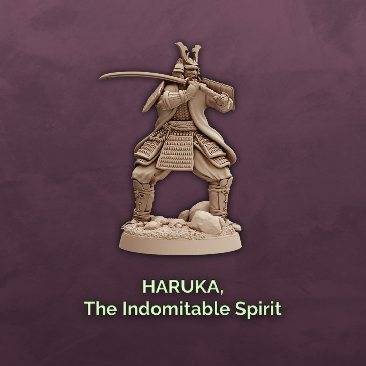 Haruka, The Indomitable Spirit - Samurai Fighter