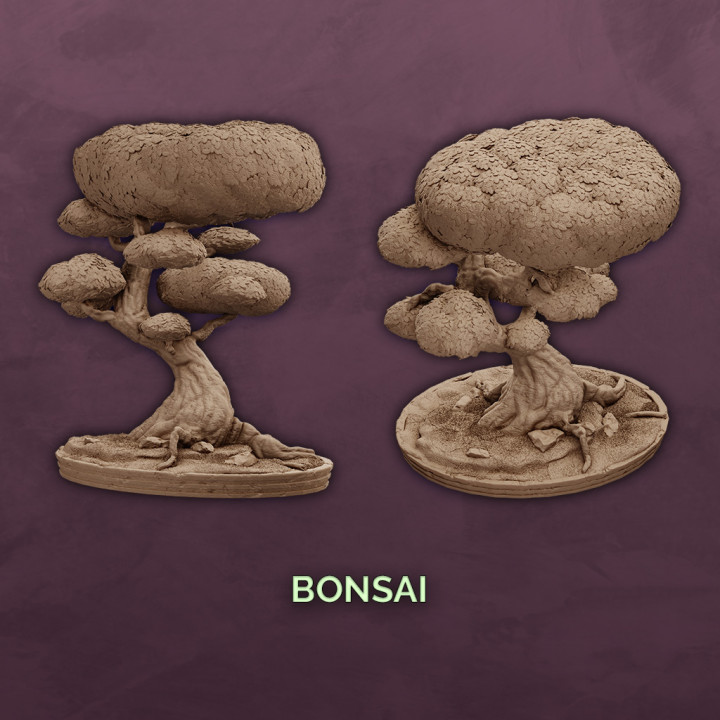 Bonsai Tree image