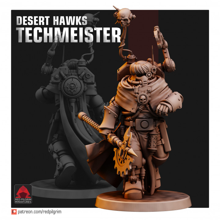 Desert Hawks Techmeister image