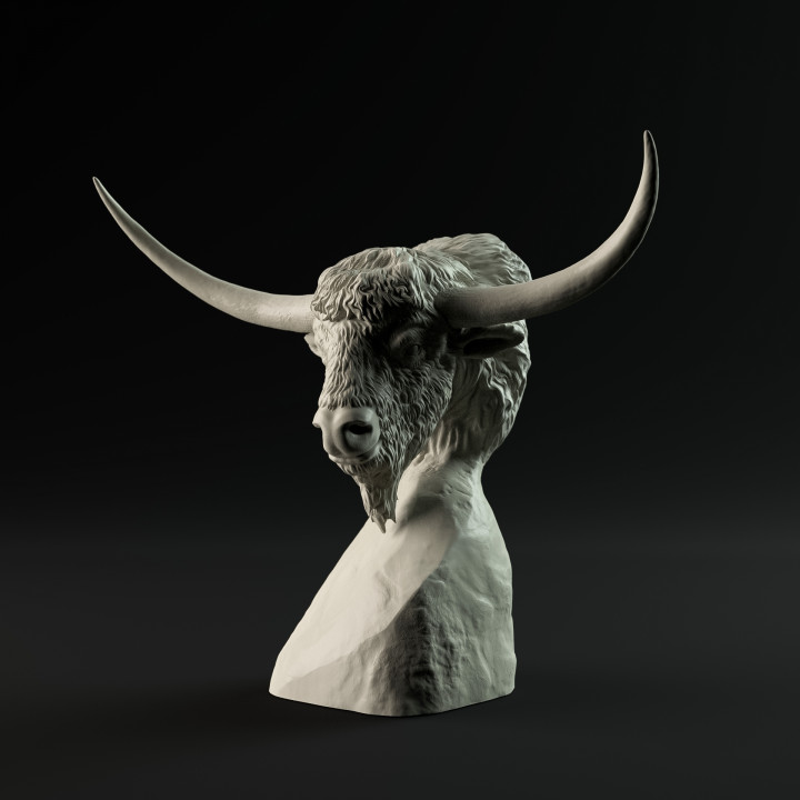 Bison Latifrons bust - pre supported image