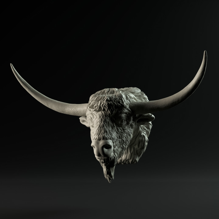 Bison Latifrons mount image