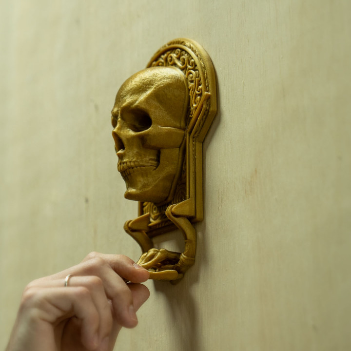 Skull Door Knocker image