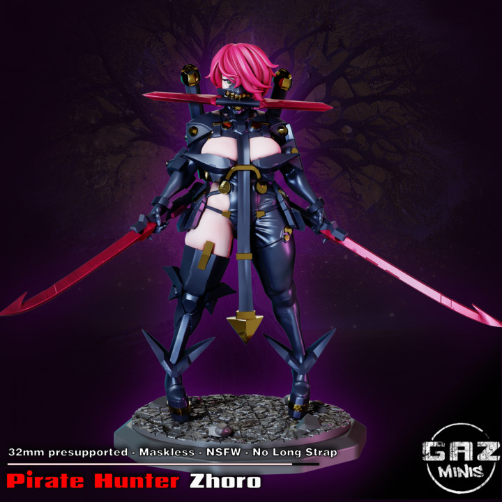 Pirate Hunter Zhoro image
