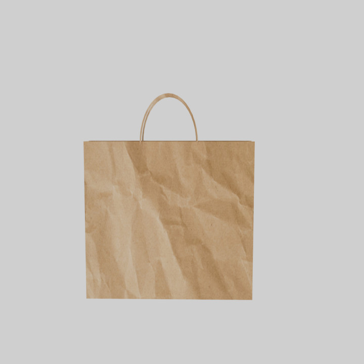 Paper Bag image