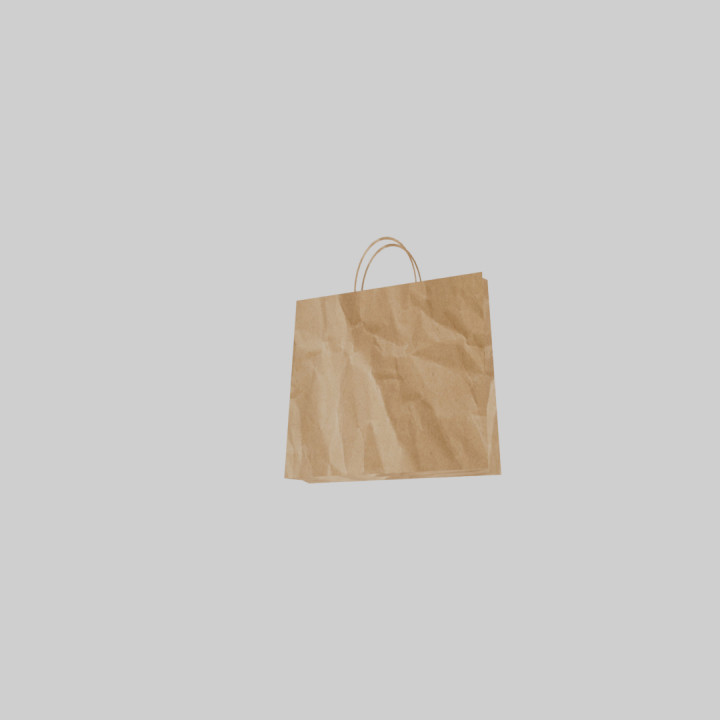 Paper Bag image