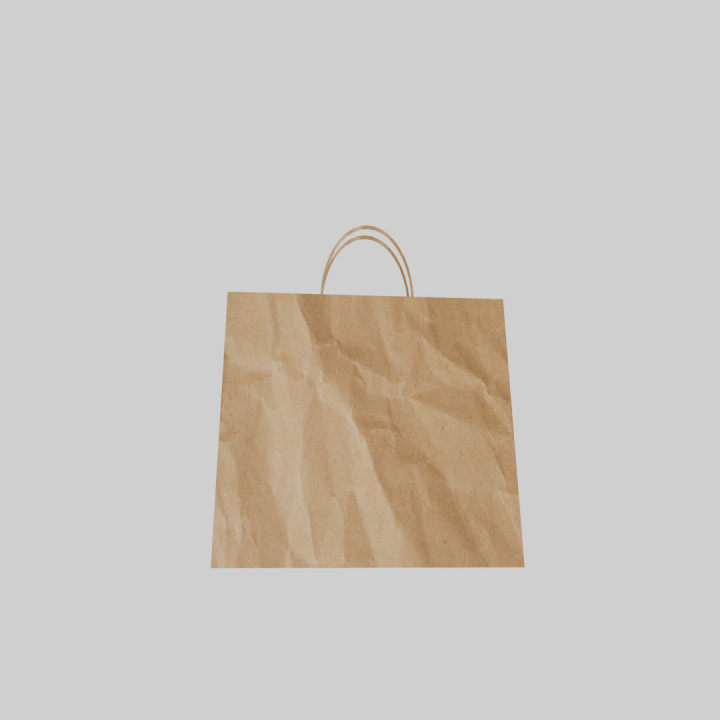 Paper Bag image