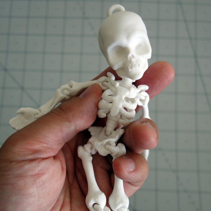 Fully Articulated Human Skeleton 3D Print-In-Place STL Model Fidget Toy image