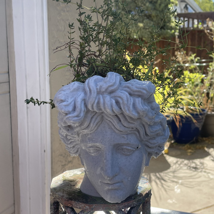 Head of Apollo Planter image