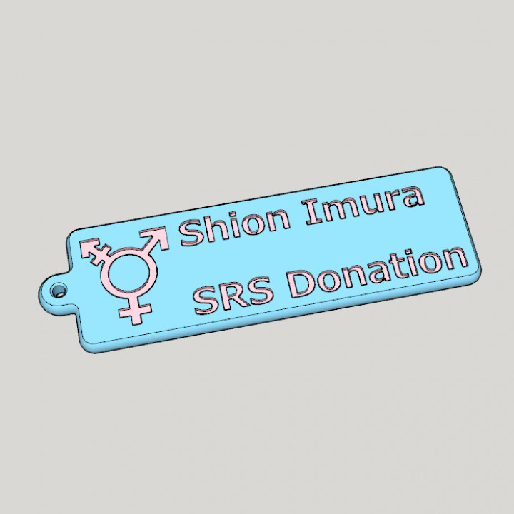 Please donate ! SRS cost in Thailand to Shion Imura image