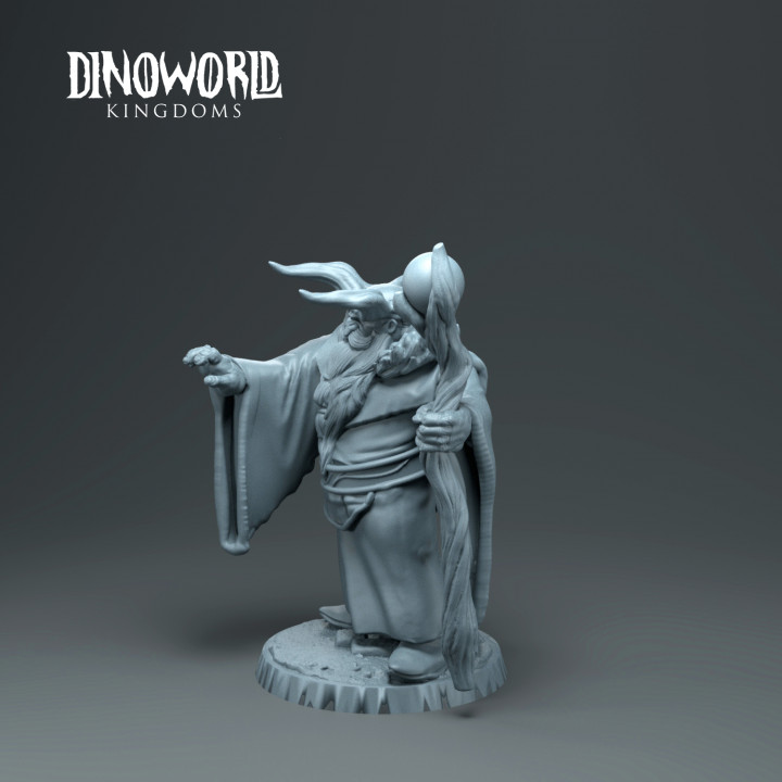 Dwarft druid image
