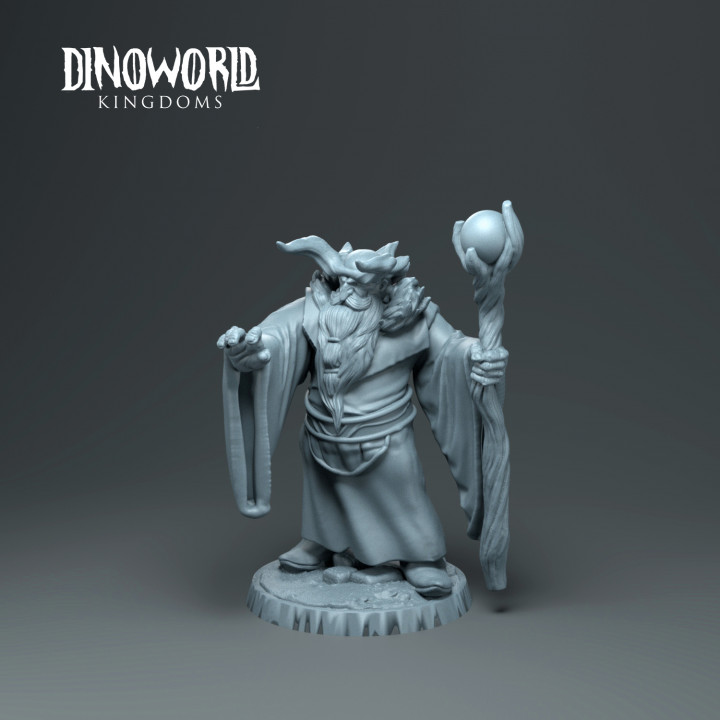 Dwarft druid image