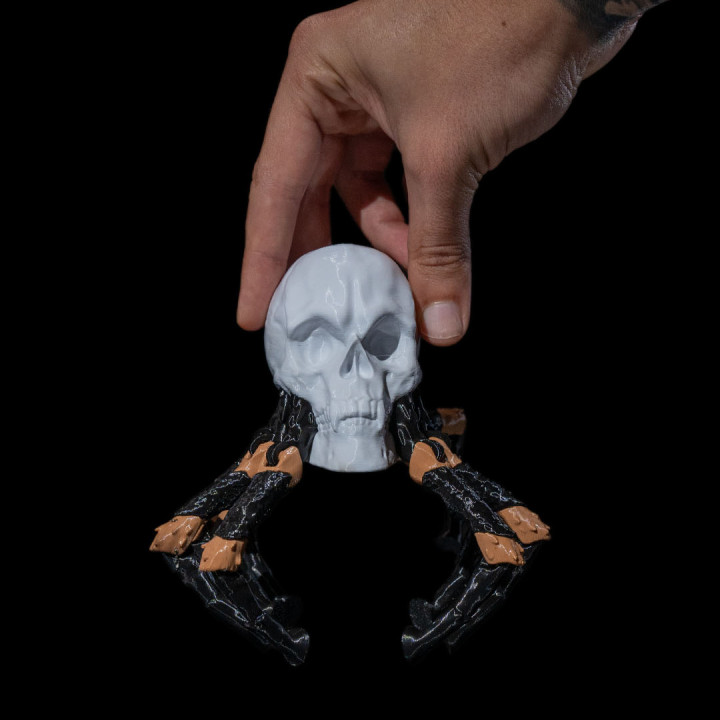 Skull Spider