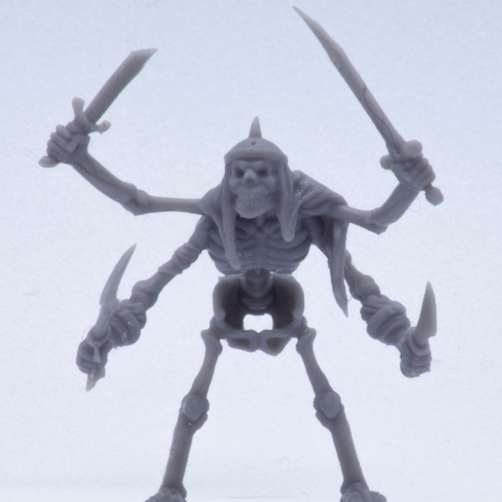 4 Armed skeleton image