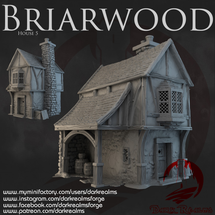 Dark Realms - Briarwood - House 5 image