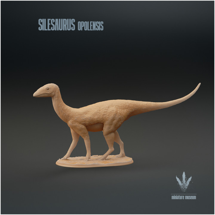 Silesaurus opolensis : The Ancient Dinosaur