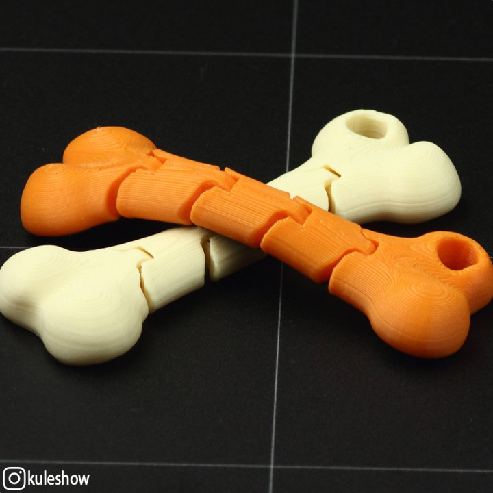 Flexible Bone keychain image