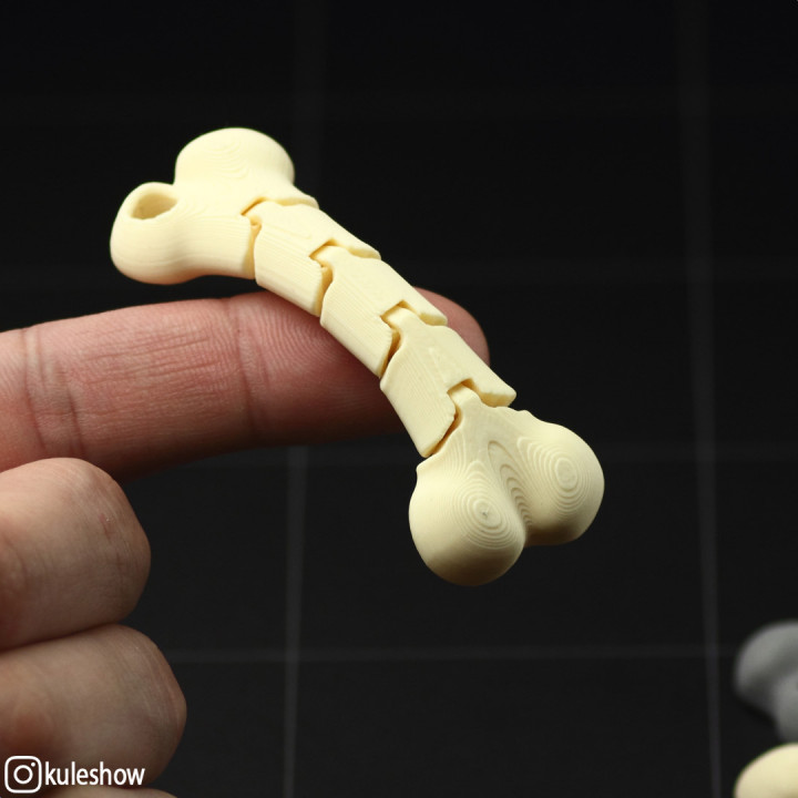 Flexible Bone keychain image