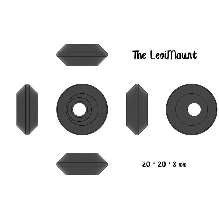 The LeviMount image