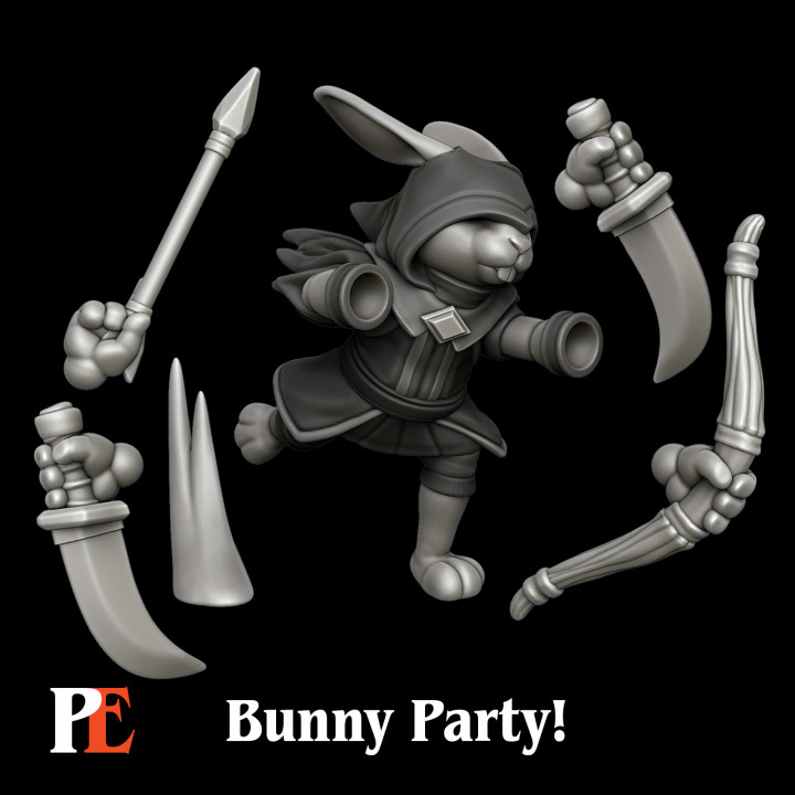 Bunny Ranger image