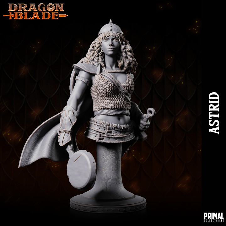 Fighter - Rogue -  Astride - Bust - October 2023 - DRAGONBLADE-  MASTERS OF DUNGEONS QUEST image