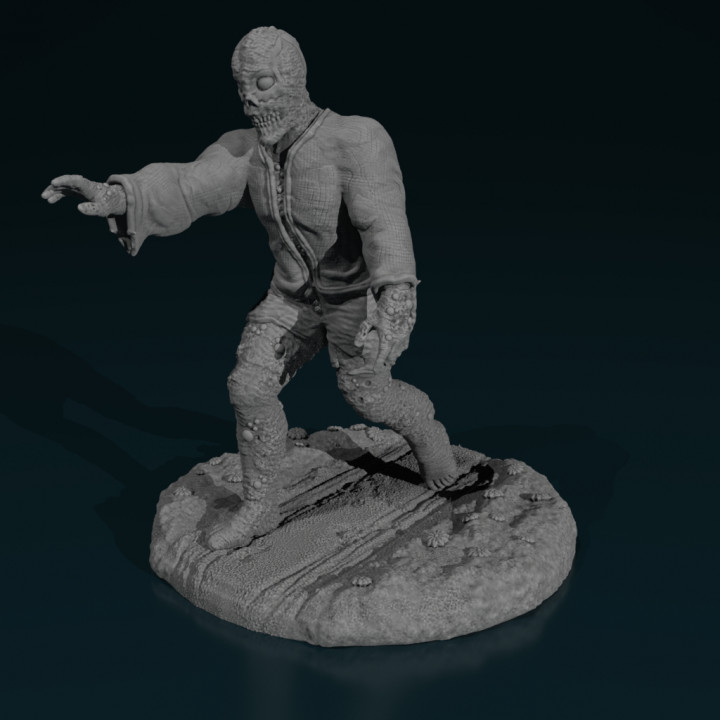 Zombie Walker/Crawler image