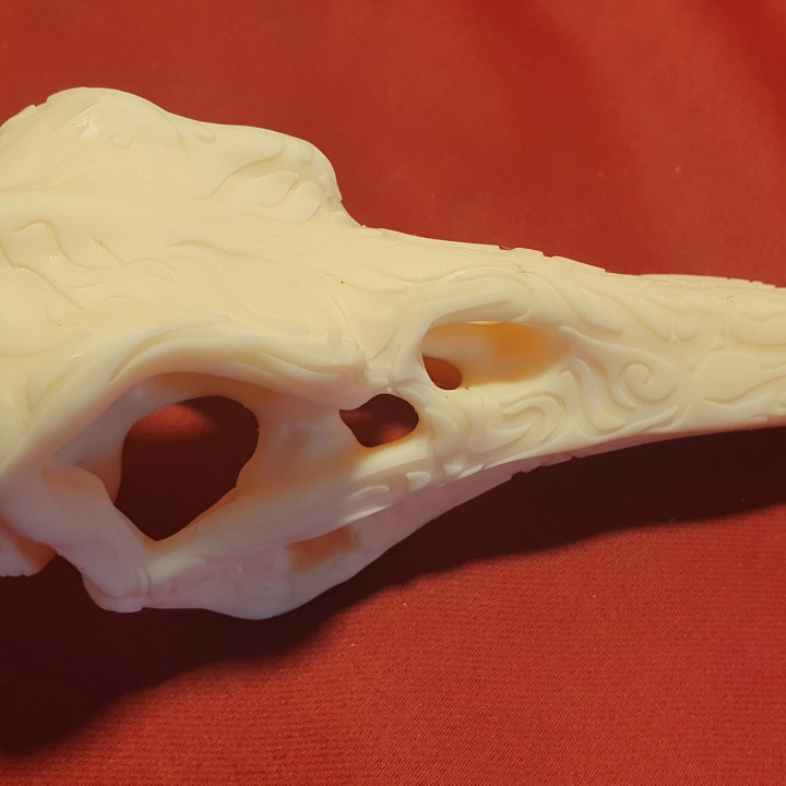 ornate raven skull crow 2 version low and hight image