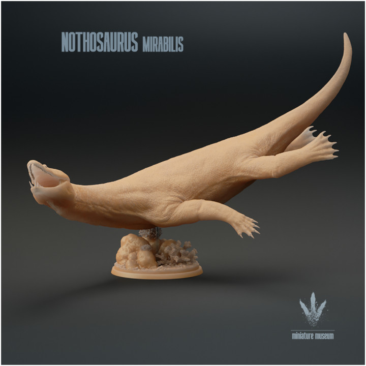 Nothosaurus mirabilis : The False Lizard image