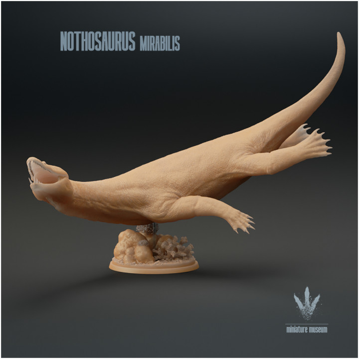 Nothosaurus mirabilis : The False Lizard