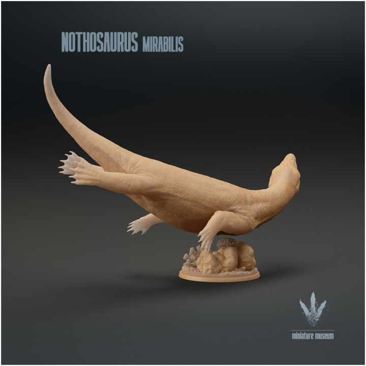 Nothosaurus mirabilis : The False Lizard image