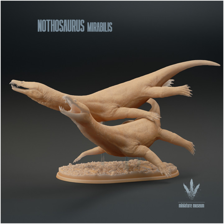 Nothosaurus mirabilis : Swimming image