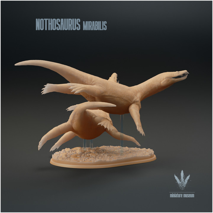 Nothosaurus mirabilis : Swimming image