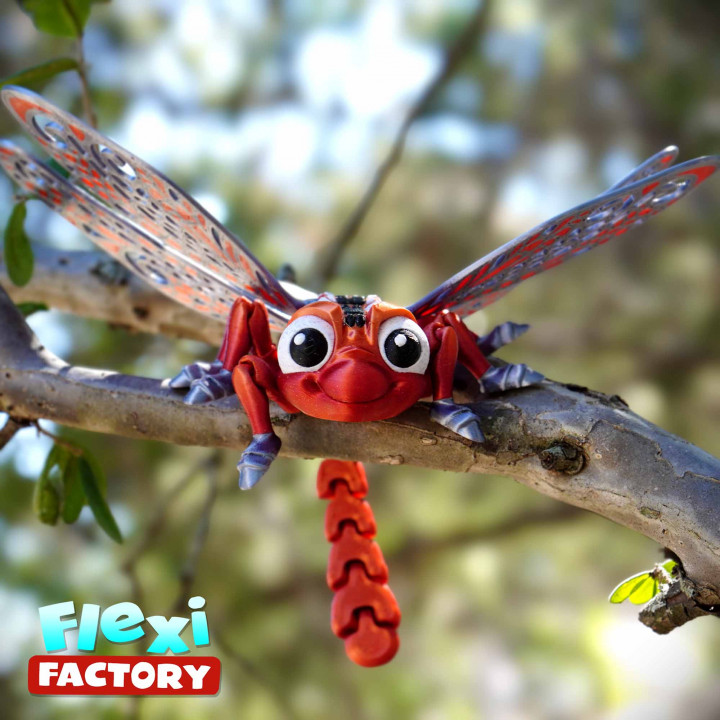FLEXI FACTORY PRINT-IN-PLACE DRAGONFLY image
