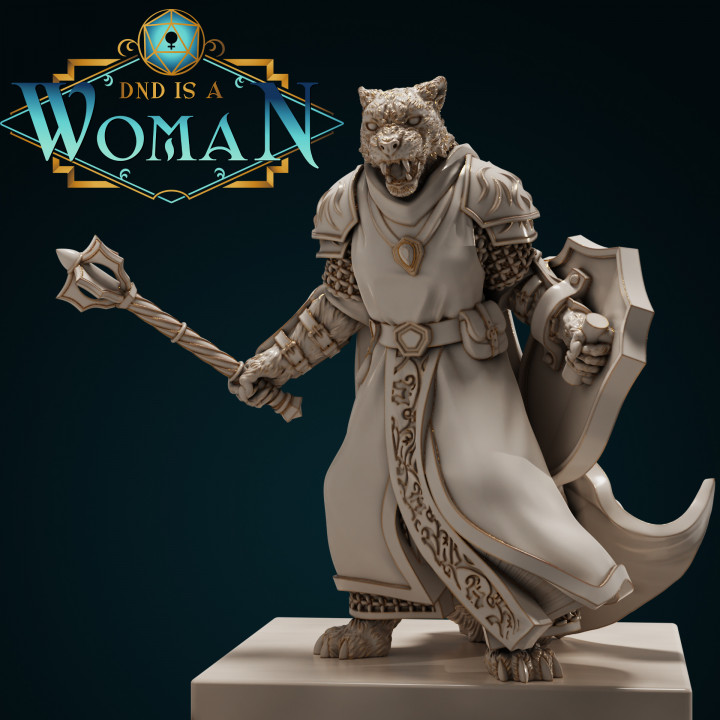 Tabaxi Cleric - Snowy Meadows Silver Sky - 28/32mm and 75mm image