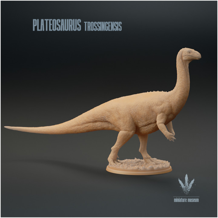 Plateosaurus trossingensis : The Broad Lizard image