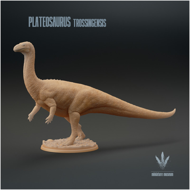 Plateosaurus trossingensis : The Broad Lizard image